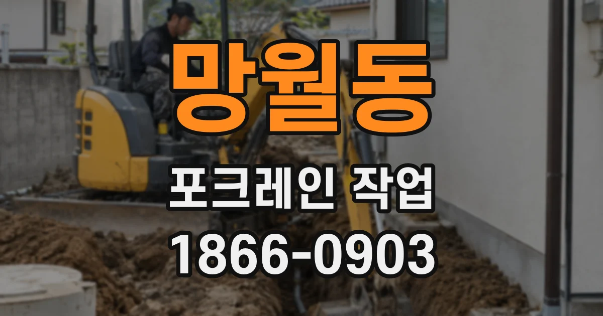 망월동 포크레인 작업