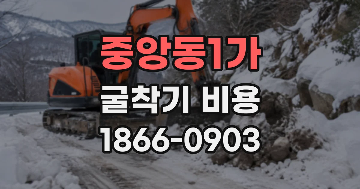 중앙동1가 굴착기비용