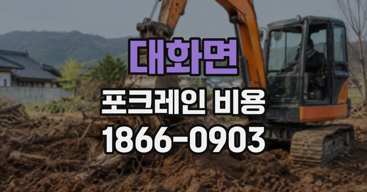 대화면 포크레인비용