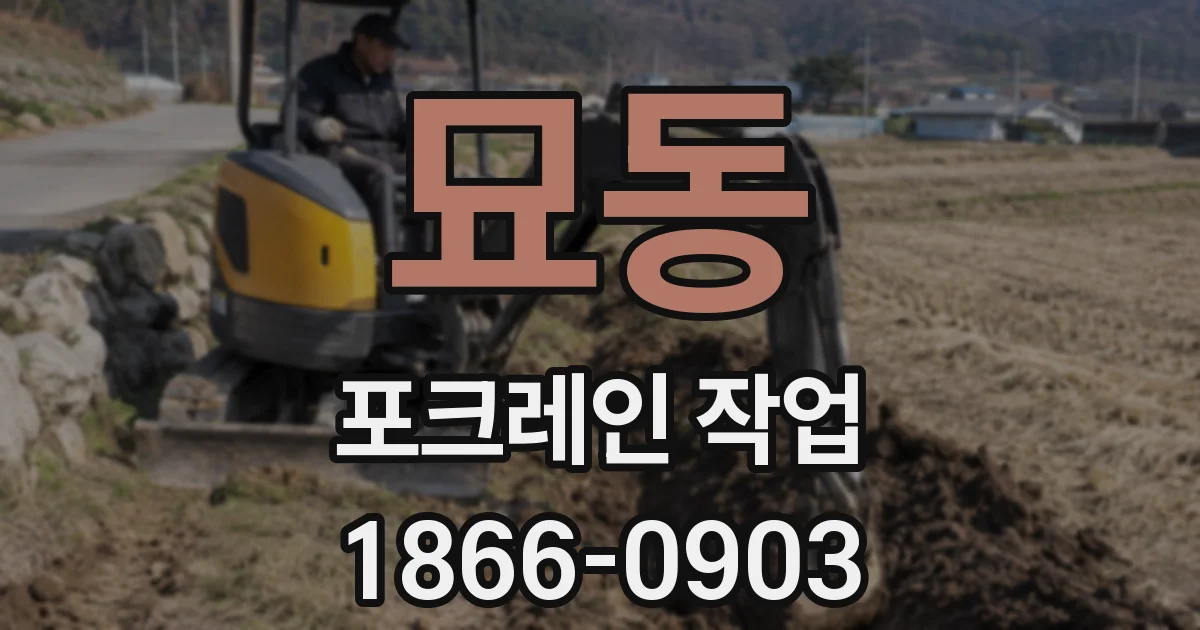 묘동 포크레인 작업
