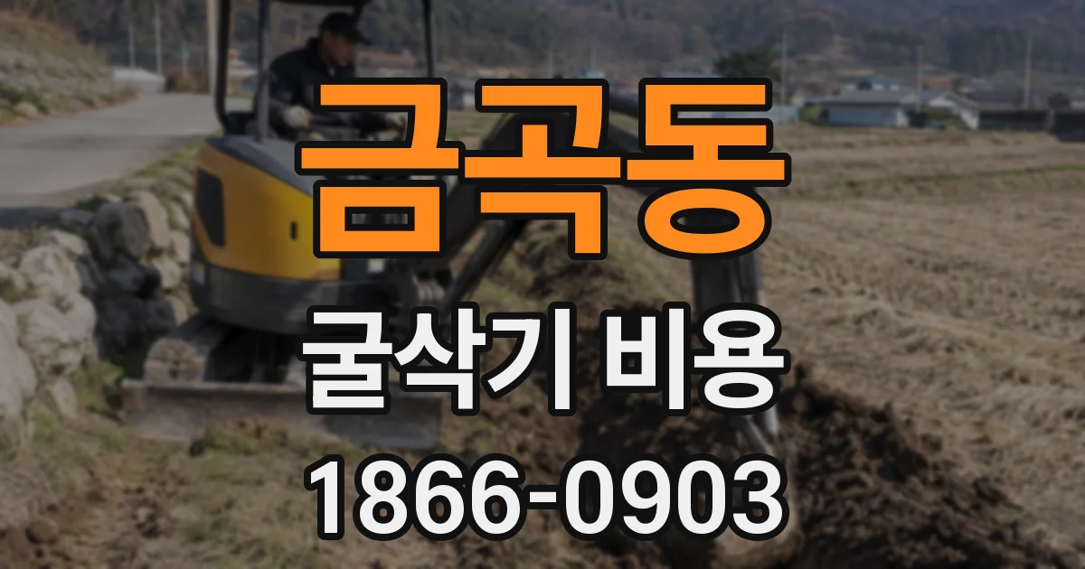 금곡동 굴삭기 비용