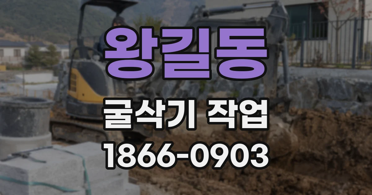 왕길동 굴삭기 작업