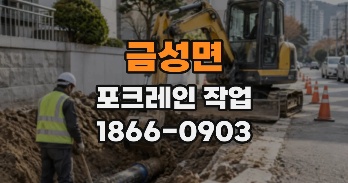 금성면 포크레인작업