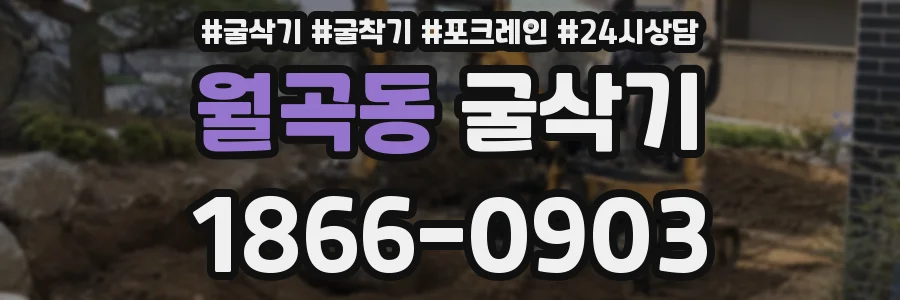 월곡동 굴삭기