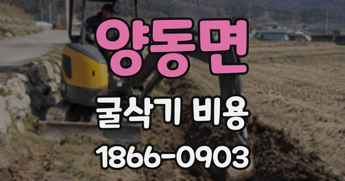 양동면 굴삭기 비용