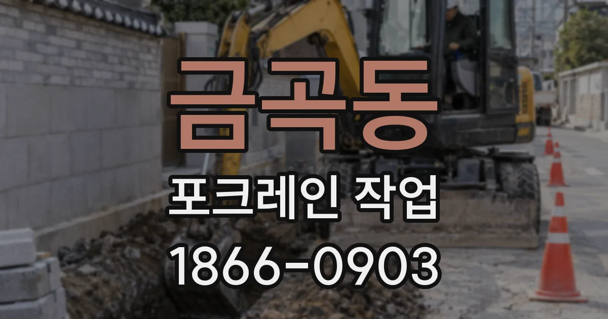 금곡동 포크레인 작업