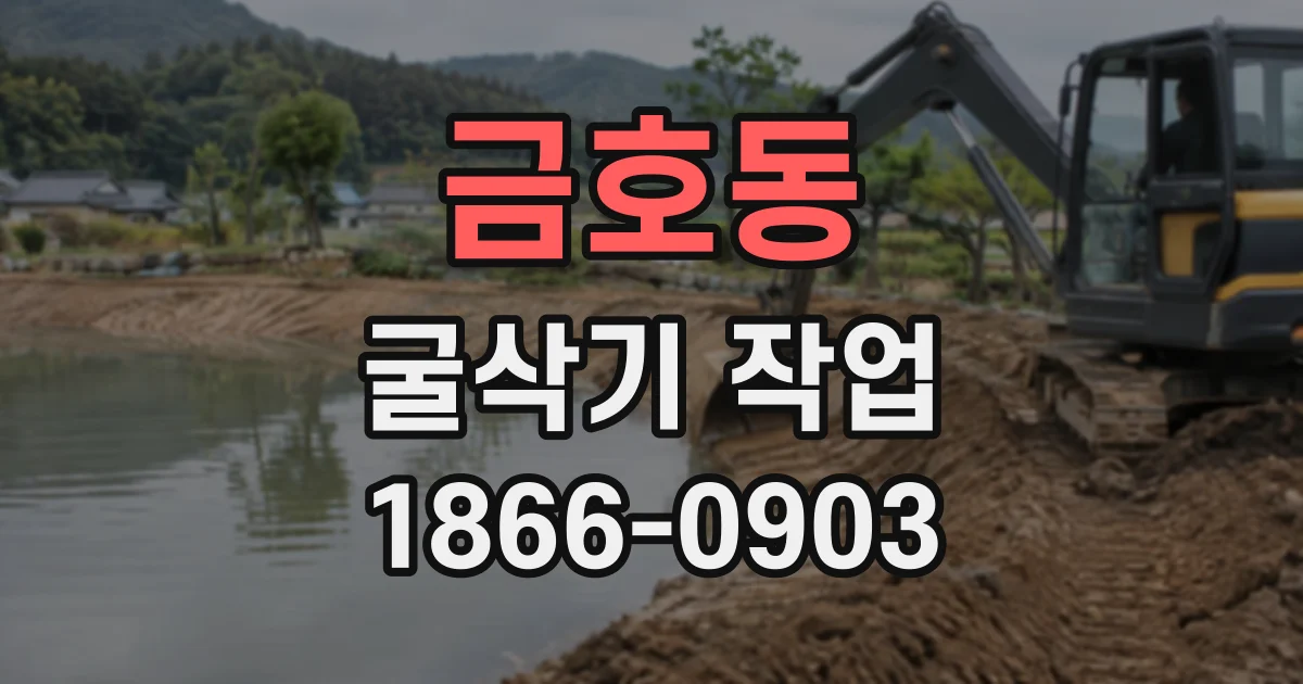 금호동 굴삭기작업