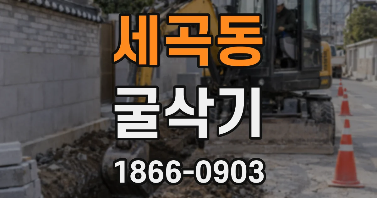 세곡동 굴삭기