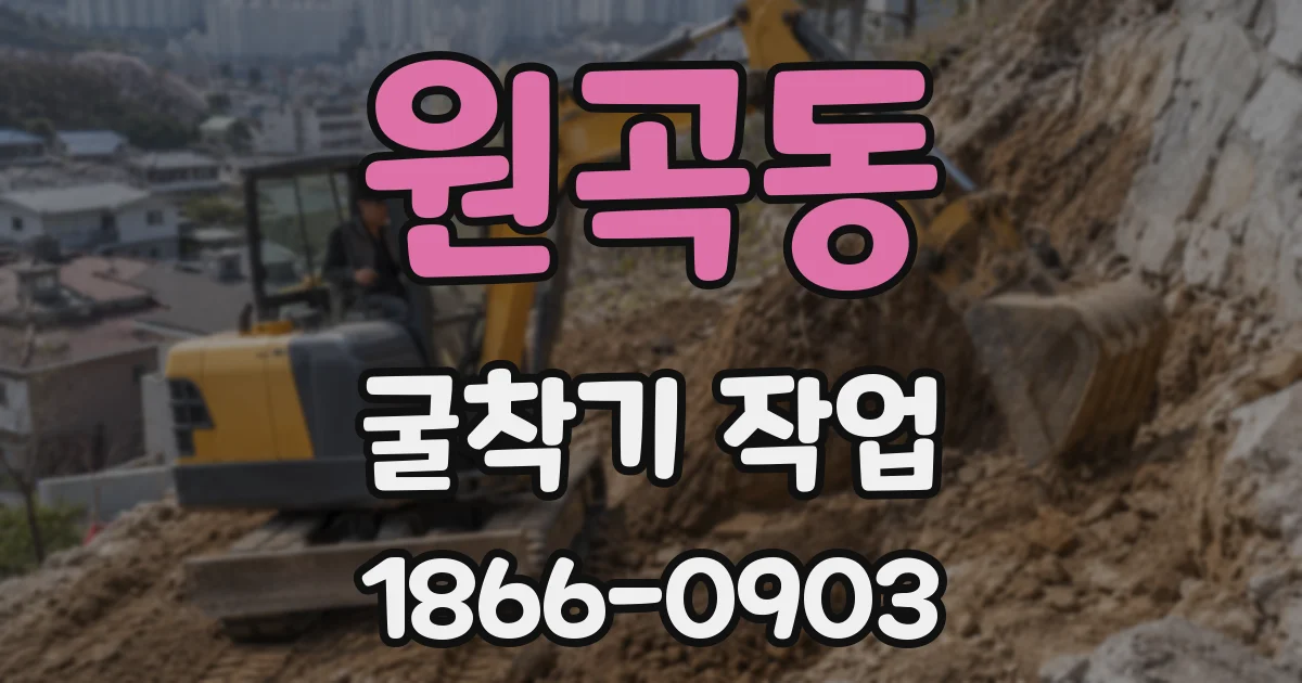 원곡동 굴착기 작업