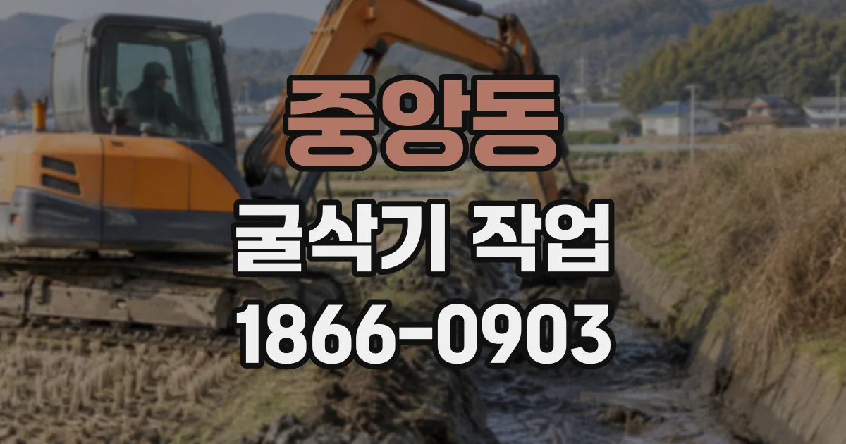 중앙동 굴삭기작업