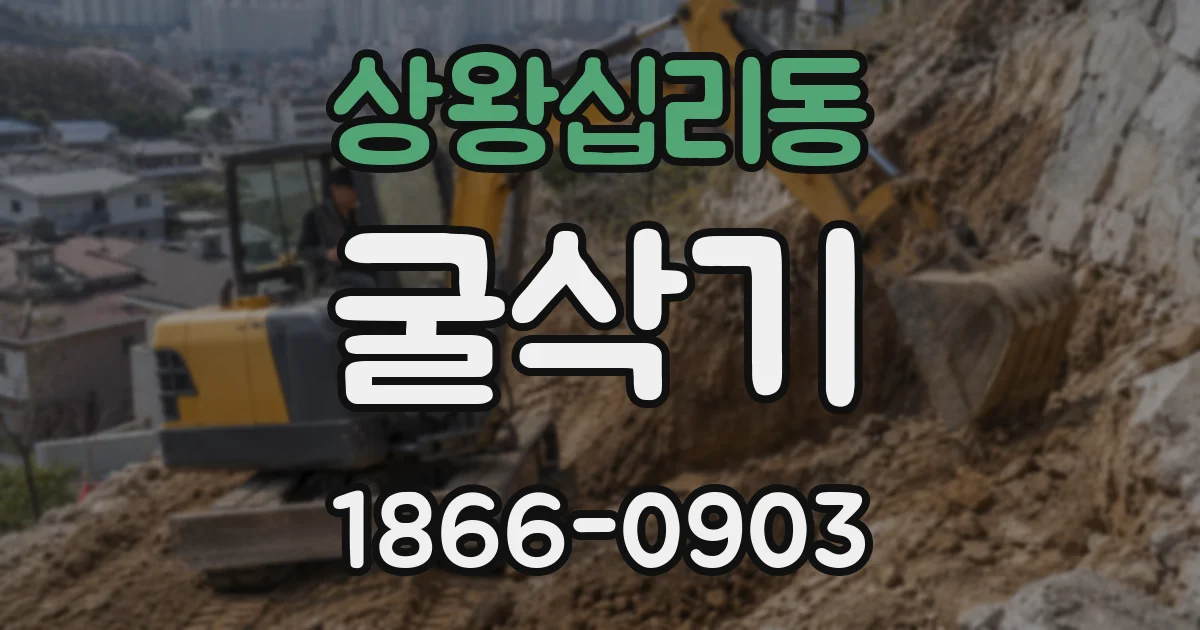 상왕십리동 굴삭기