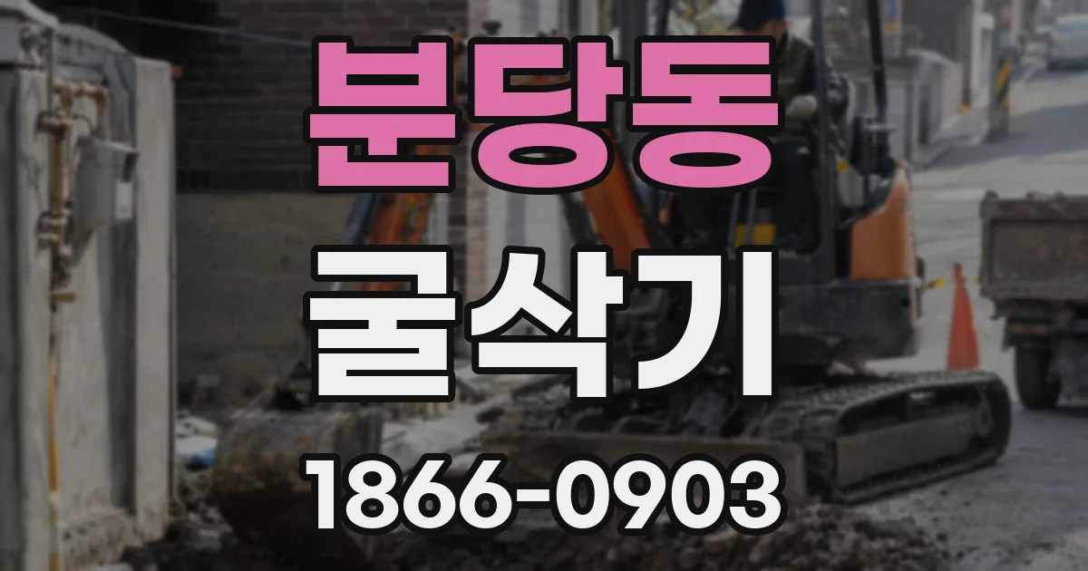 분당동 굴삭기