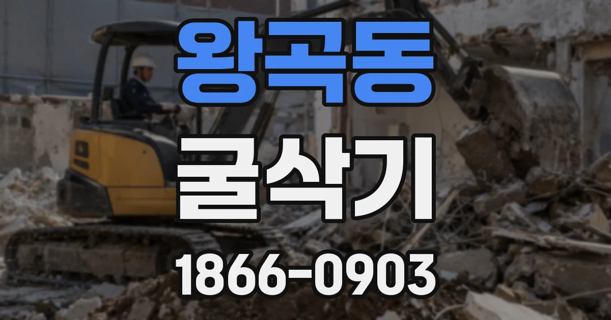 왕곡동 굴삭기