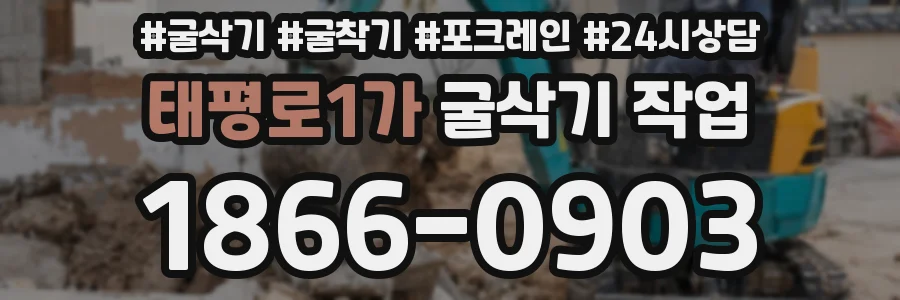 태평로1가 굴삭기 작업