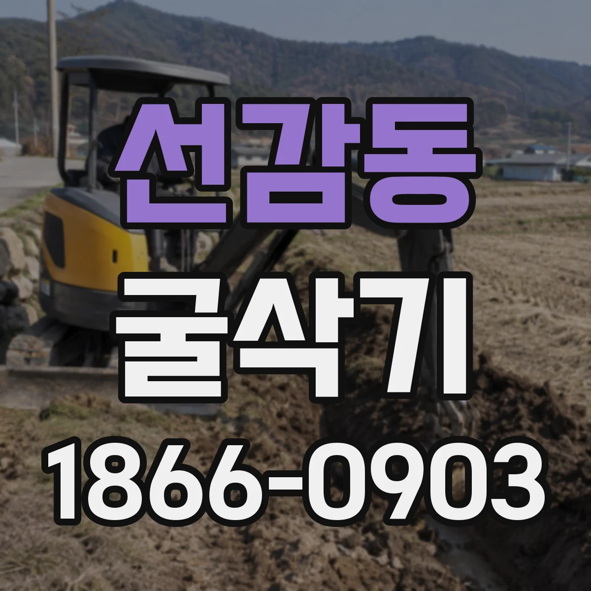 선감동 굴삭기