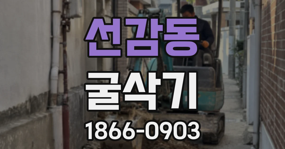 선감동 굴삭기