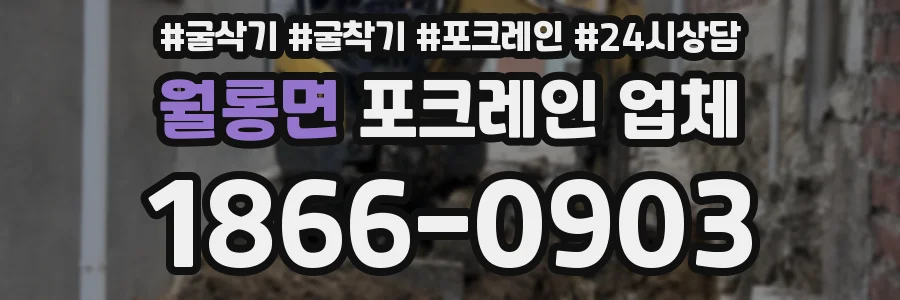 월롱면 포크레인 업체