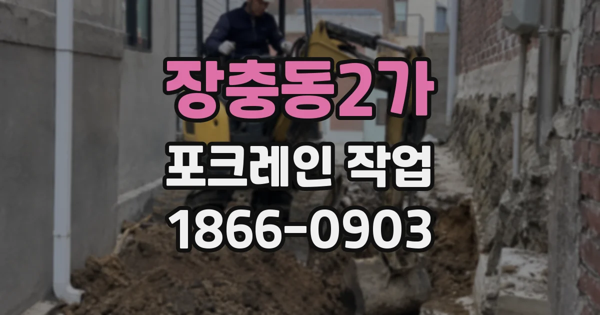 장충동2가 포크레인 작업
