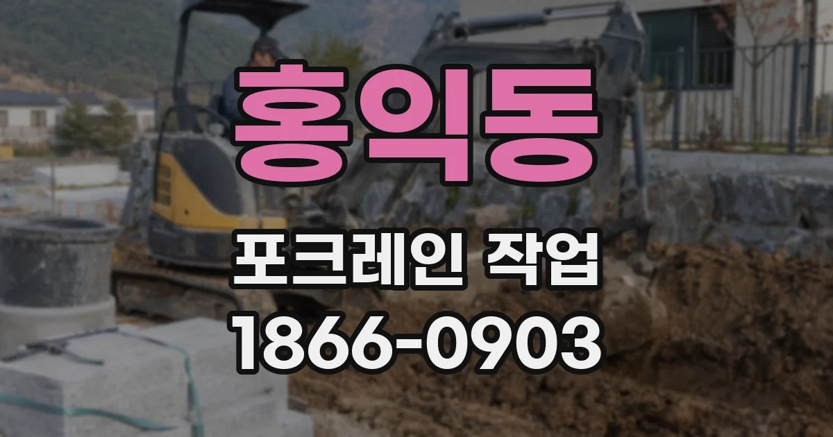 홍익동 포크레인 작업