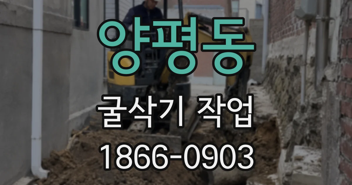 양평동 굴삭기 작업