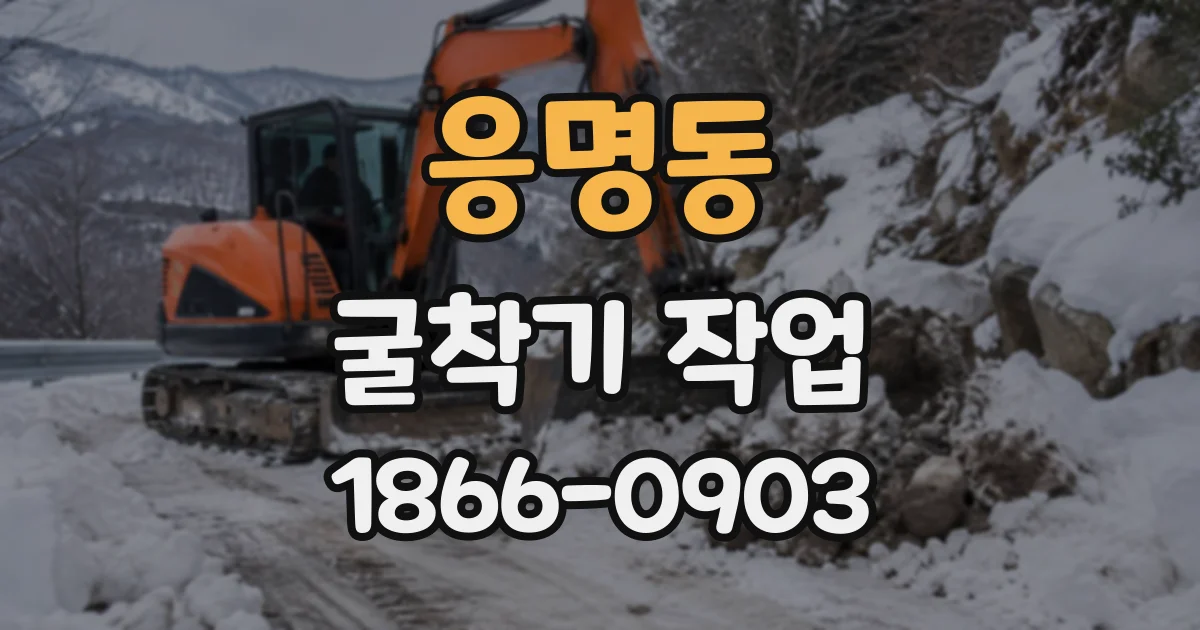 응명동 굴착기작업