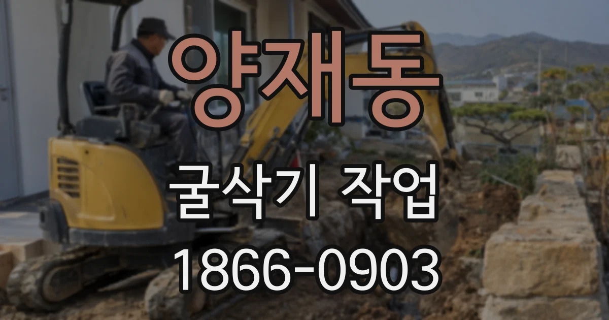 양재동 굴삭기 작업