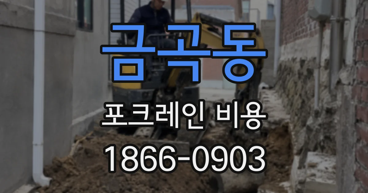 금곡동 포크레인 비용