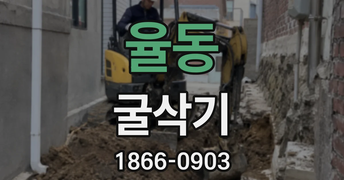 율동 굴삭기