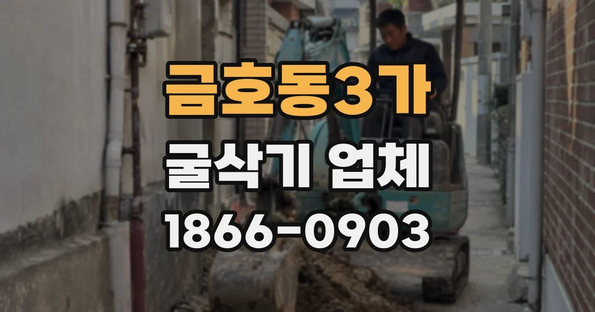 금호동3가 굴삭기 업체