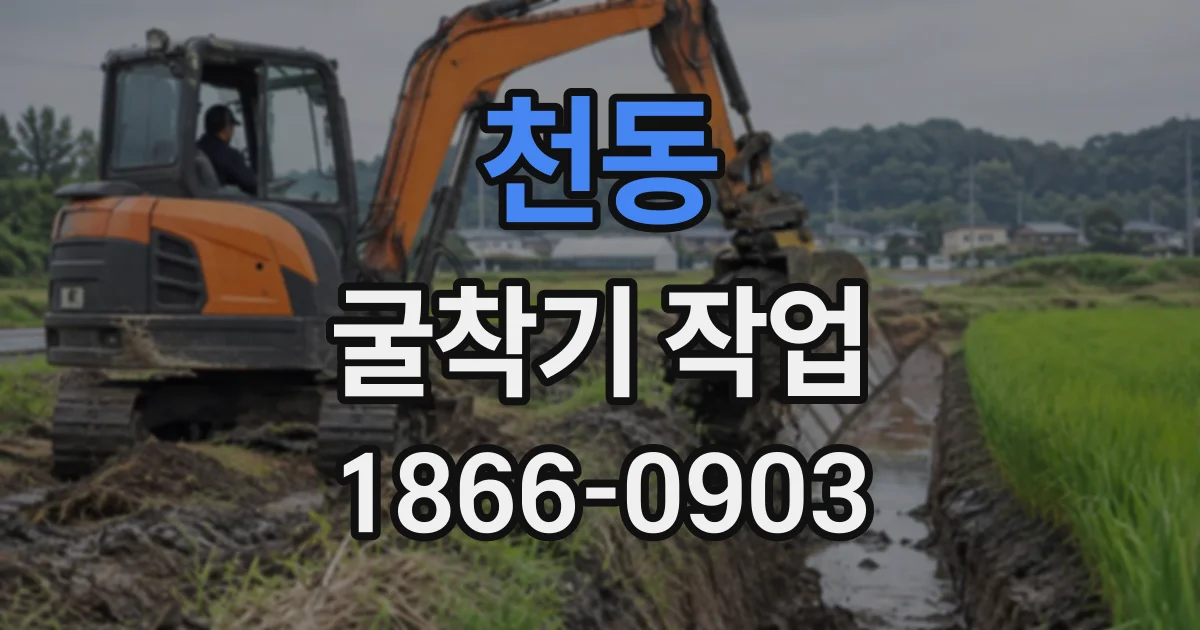 천동 굴착기작업