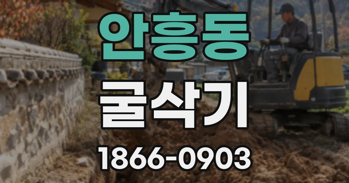 안흥동 굴삭기
