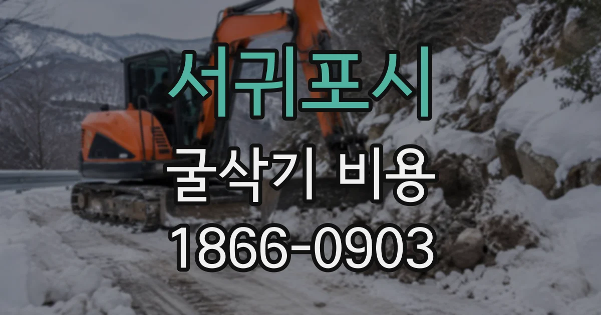 서귀포시 굴삭기비용