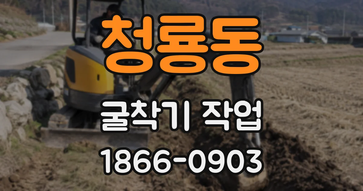 청룡동 굴착기 작업