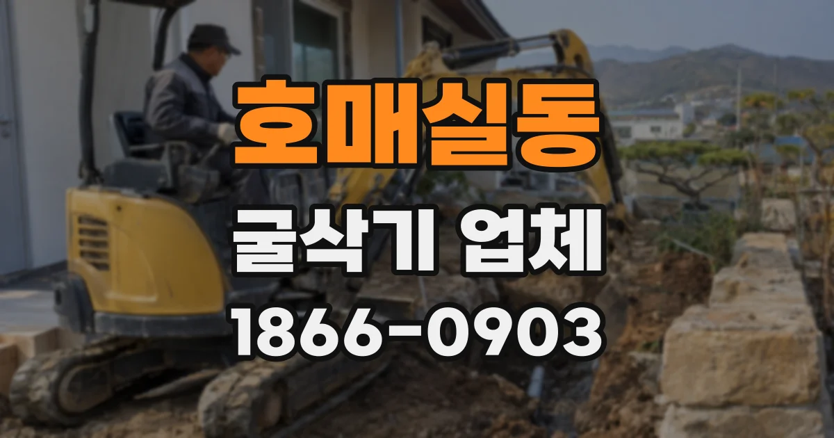호매실동 굴삭기 업체