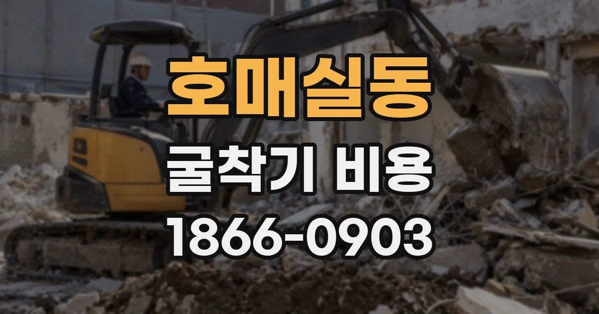 호매실동 굴착기 비용