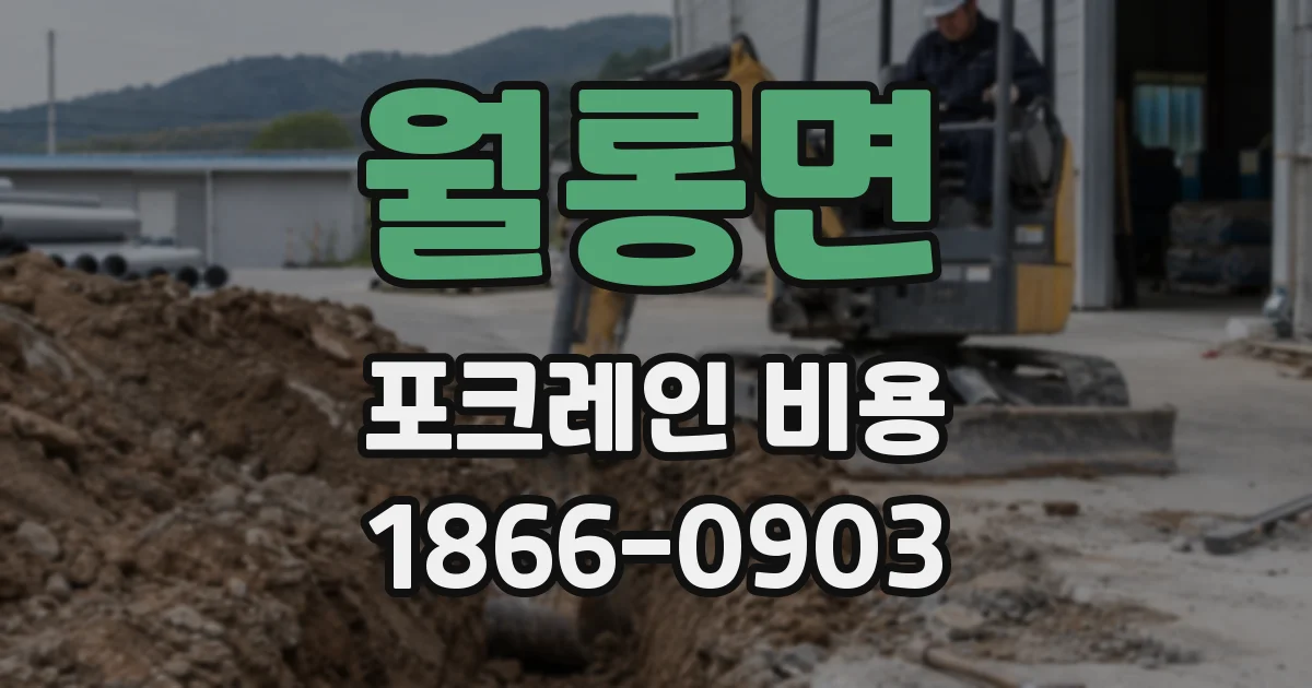 월롱면 포크레인 비용