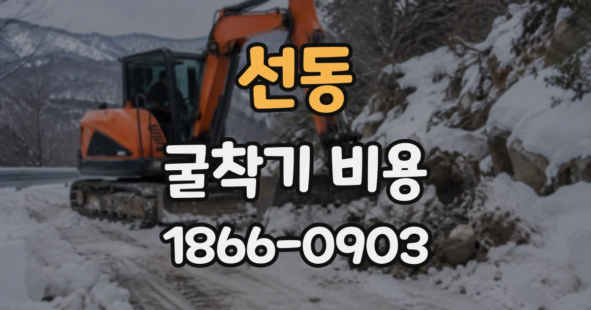 선동 굴착기비용