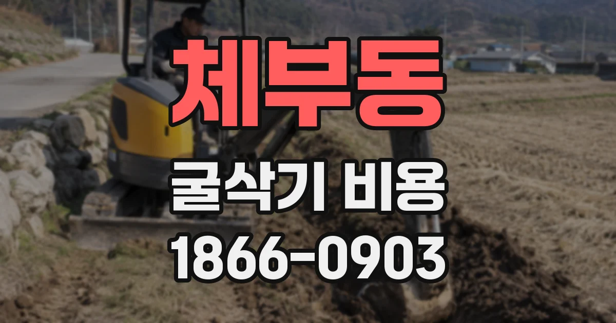 체부동 굴삭기 비용