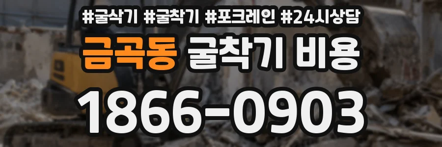 금곡동 굴착기 비용