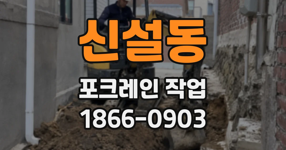 신설동 포크레인 작업