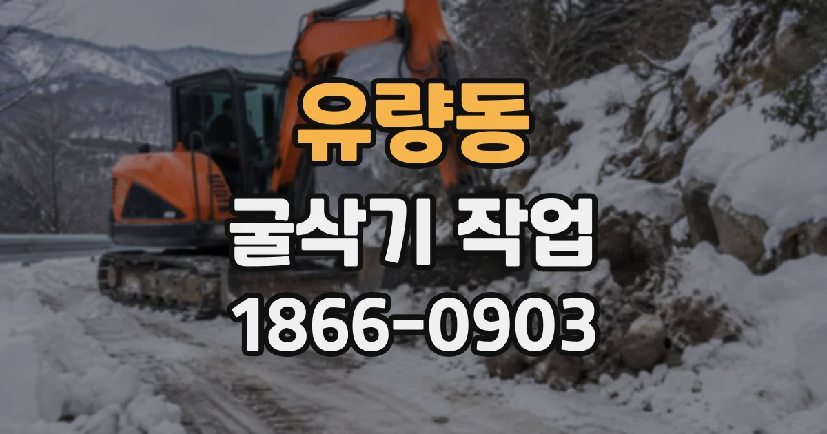 유량동 굴삭기작업