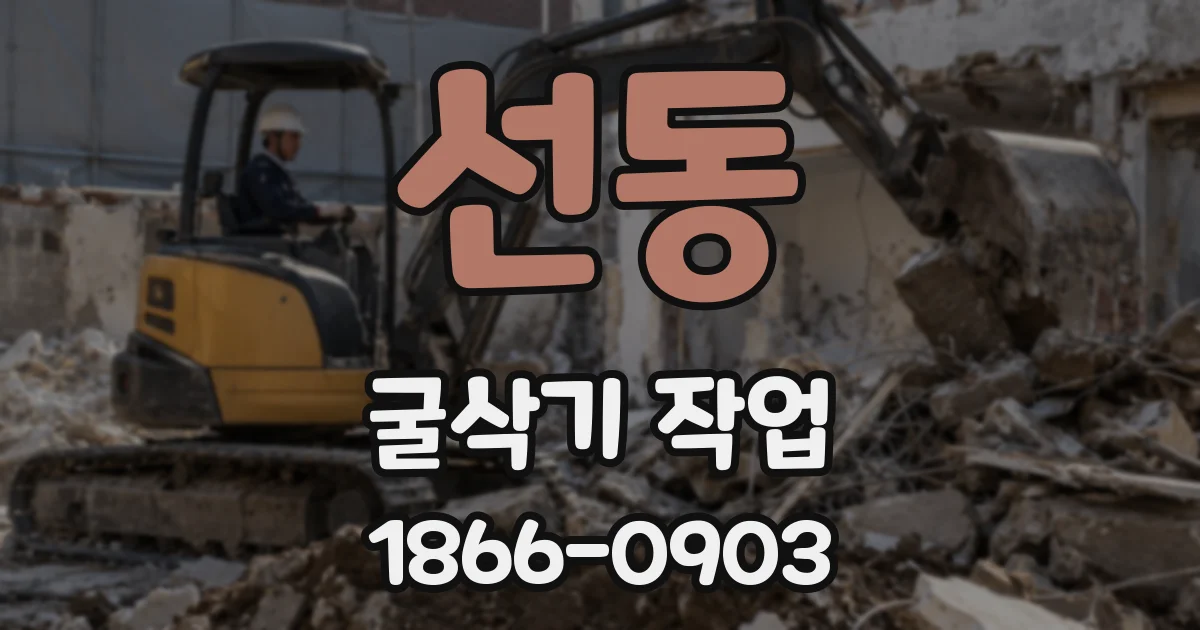 선동 굴삭기 작업