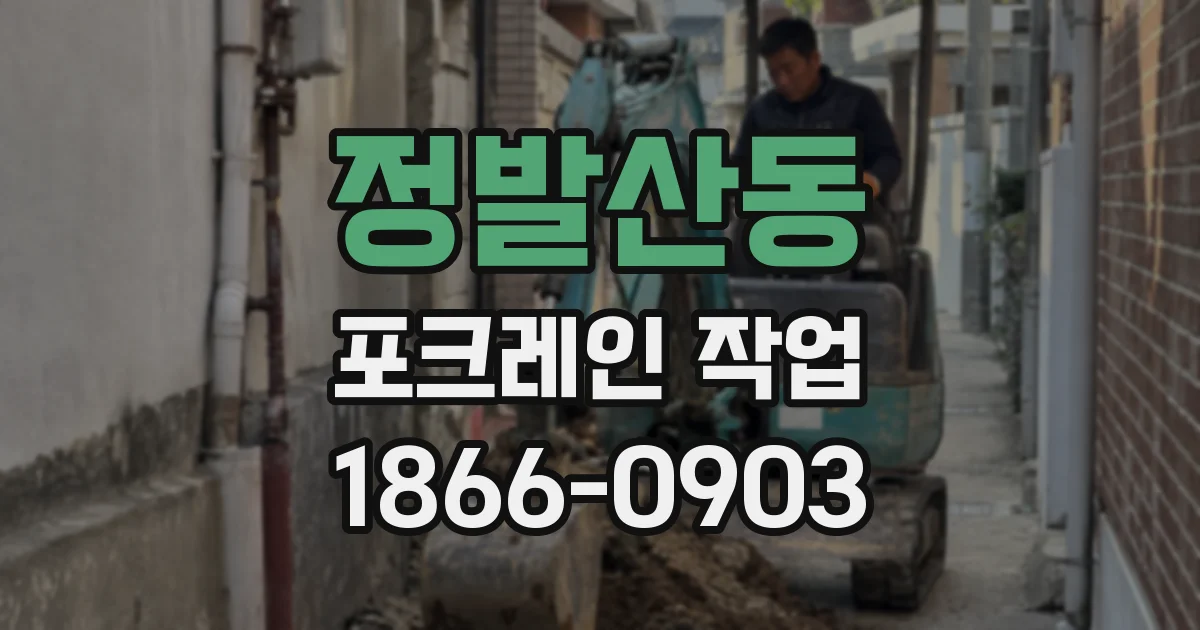 정발산동 포크레인 작업