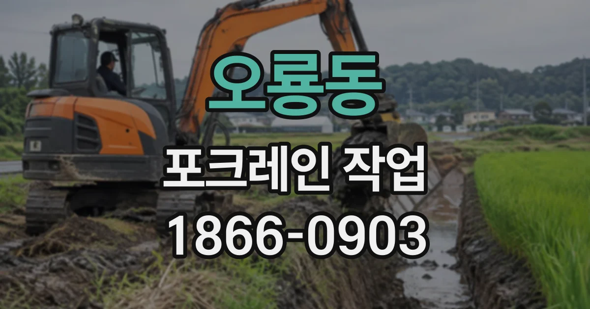 오룡동 포크레인작업