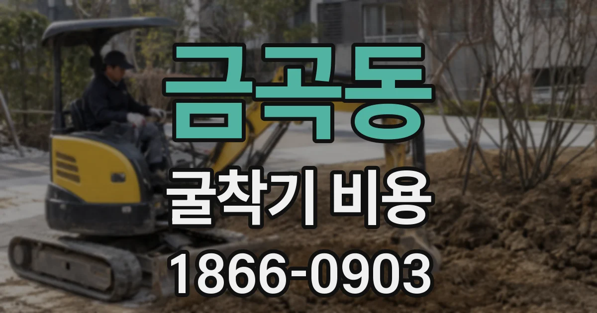 금곡동 굴착기 비용