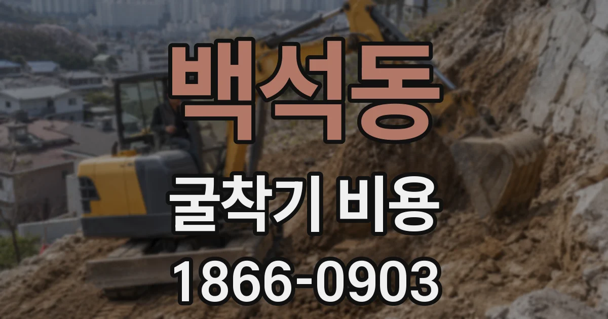 백석동 굴착기 비용