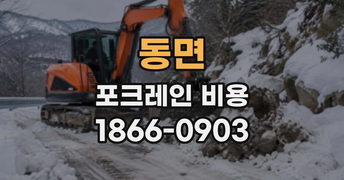 동면 포크레인비용