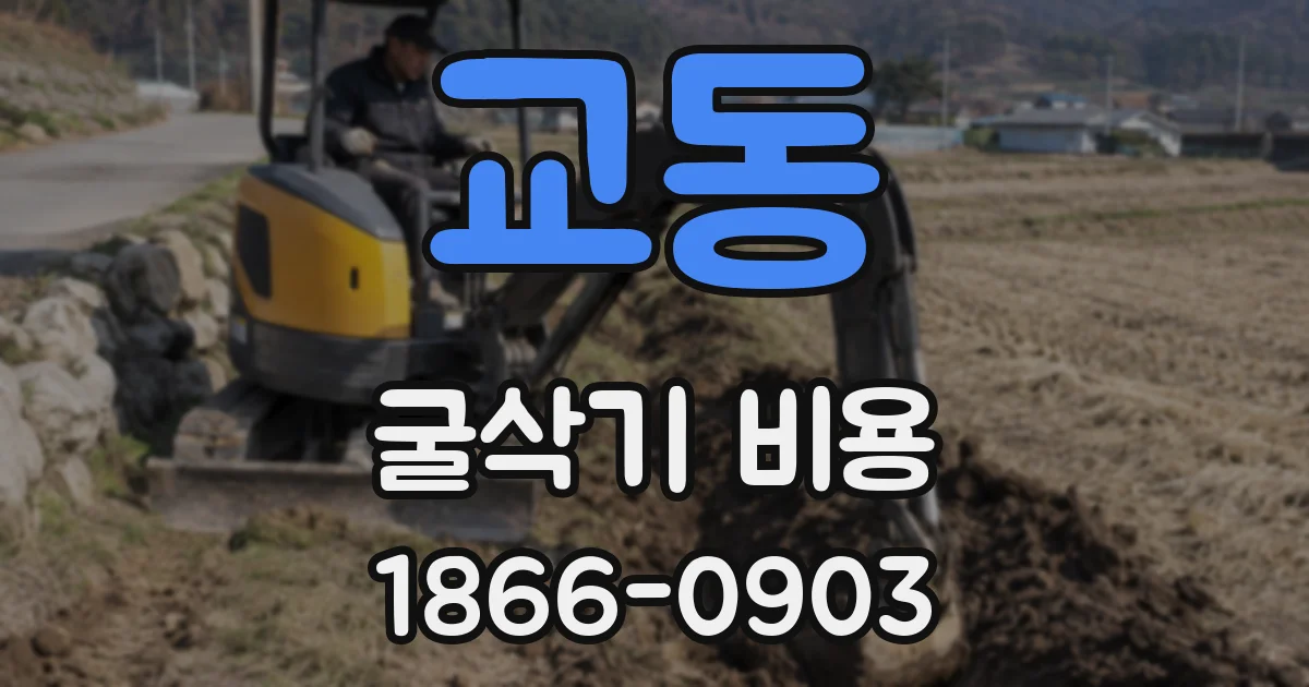교동 굴삭기 비용