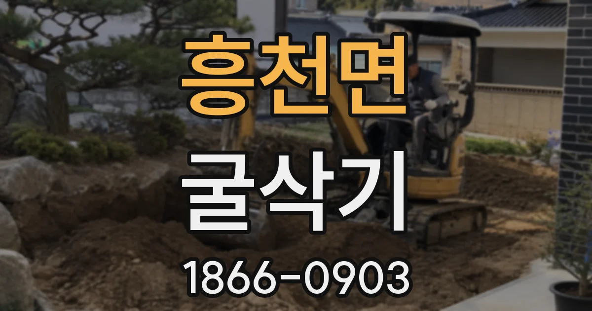 흥천면 굴삭기