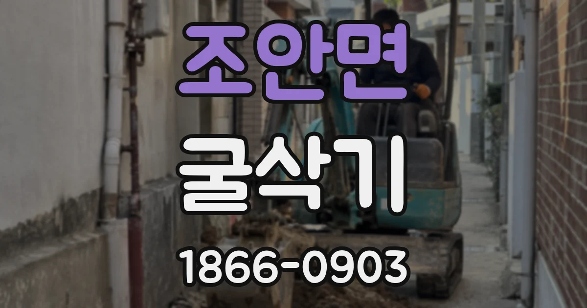 조안면 굴삭기